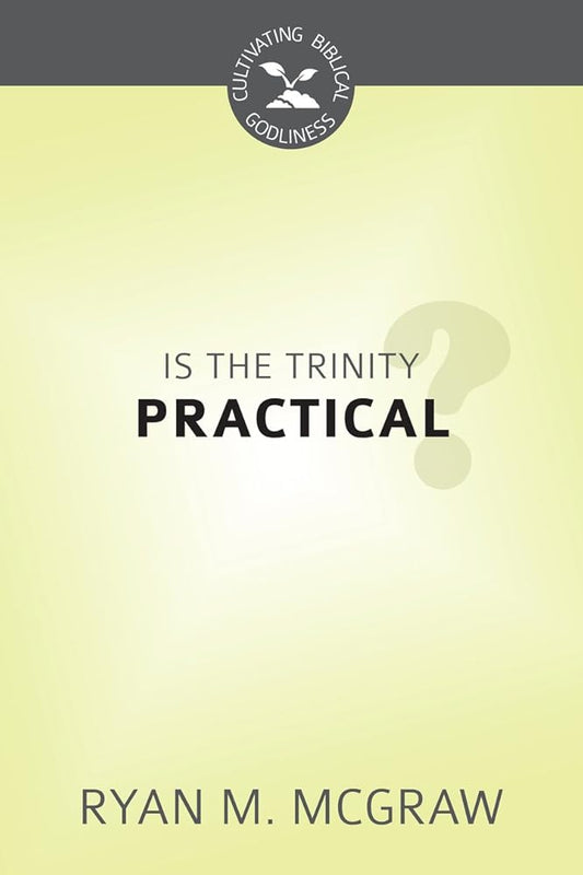 Is the Trinity Practical? cover image