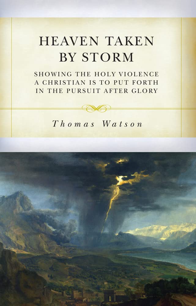 Heaven Taken by Storm cover image