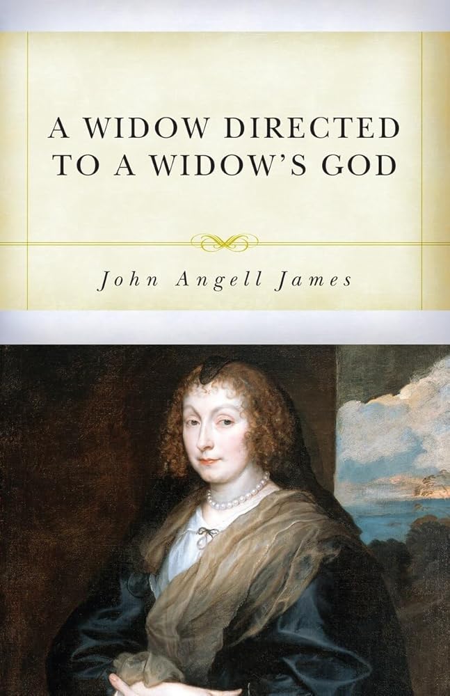 A Widow Directed to a Widow's God cover image