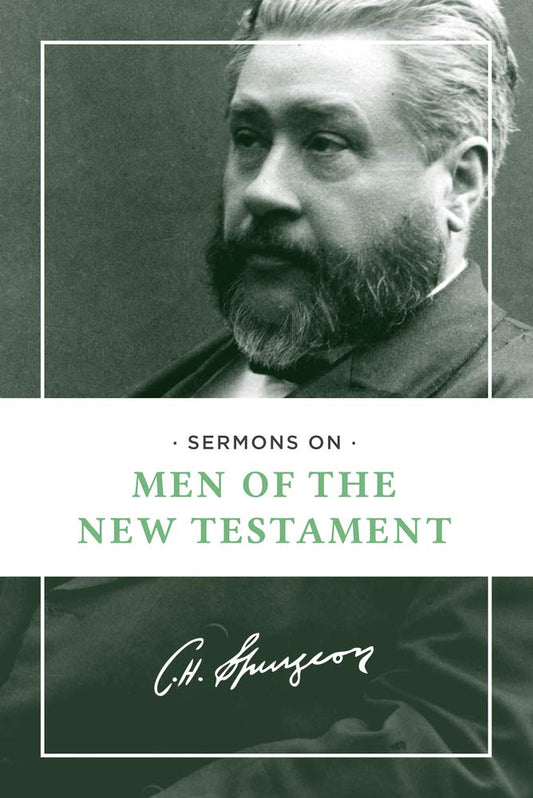 Sermons on Men of the New Testament cover image