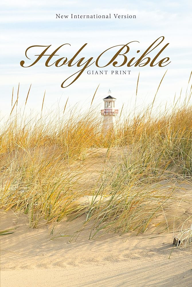 NIV, Holy Bible, Giant Print, Paperback cover image