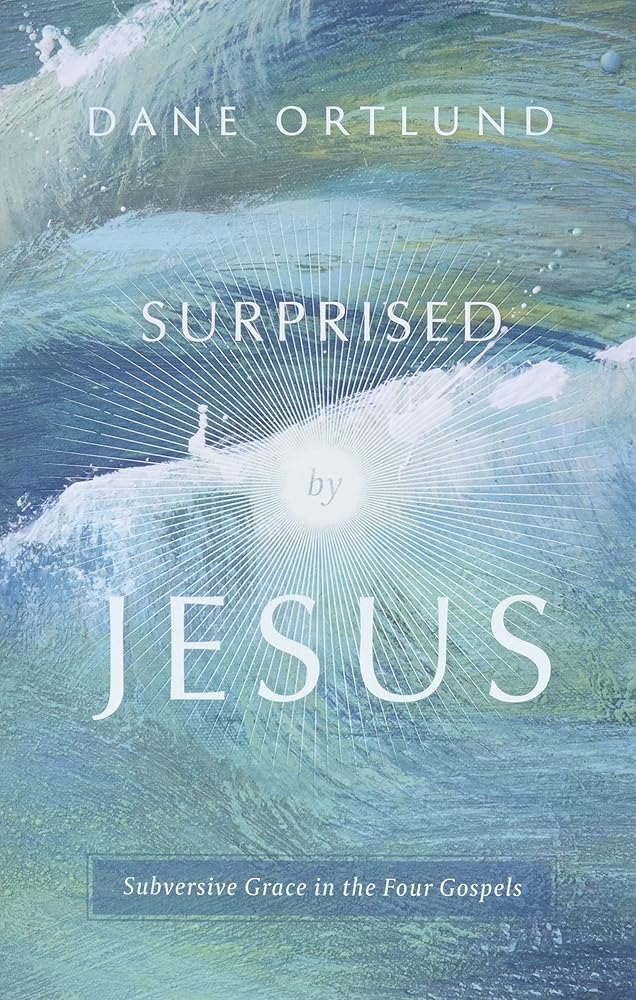 Surprised by Jesus: Subversive Grace in the Four Gospels cover image