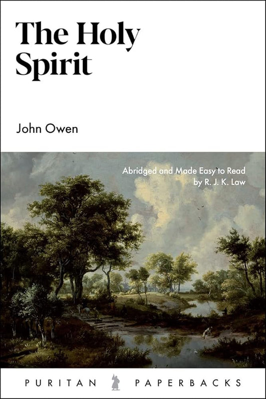 The Holy Spirit (Puritan Paperbacks) cover image