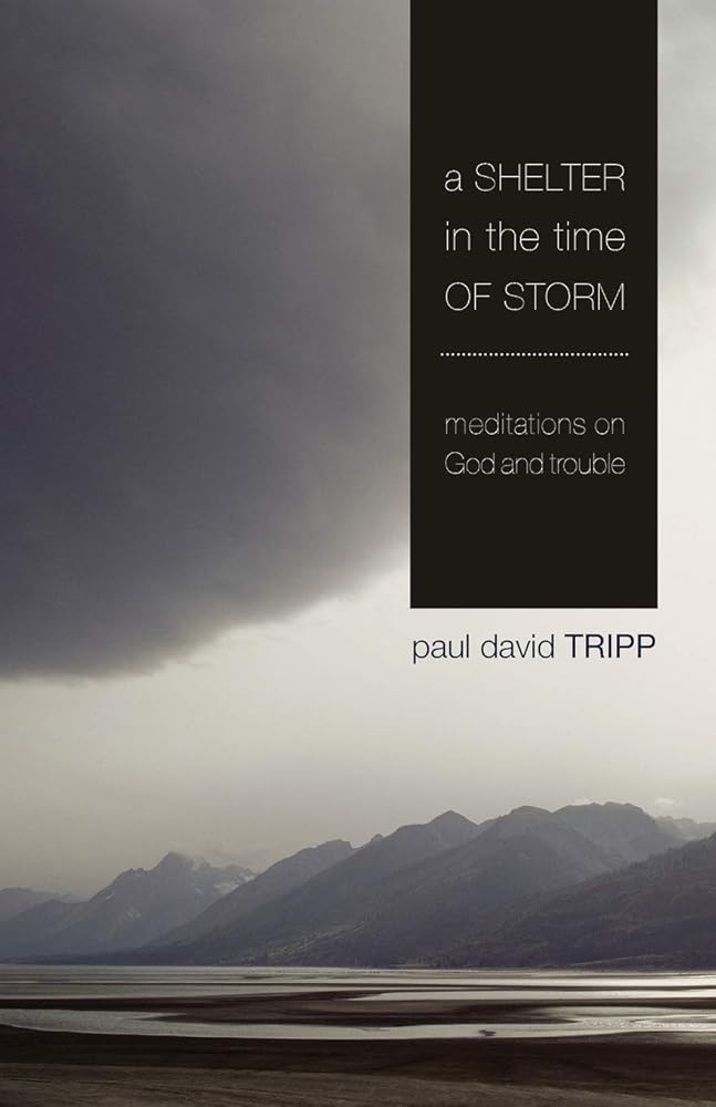 A Shelter in the Time of Storm: Meditations On God And Trouble cover image