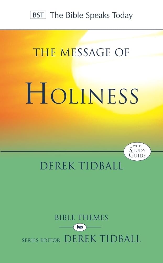 The Message of Holiness: Restoring God'S Masterpiece (The Bible Speaks Today Themes) cover image