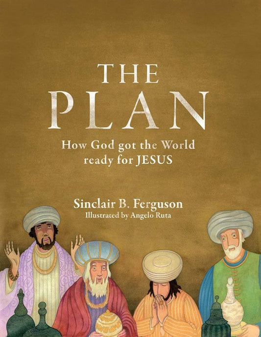 The Plan: How God got the World ready for Jesus (Colour Books) cover image