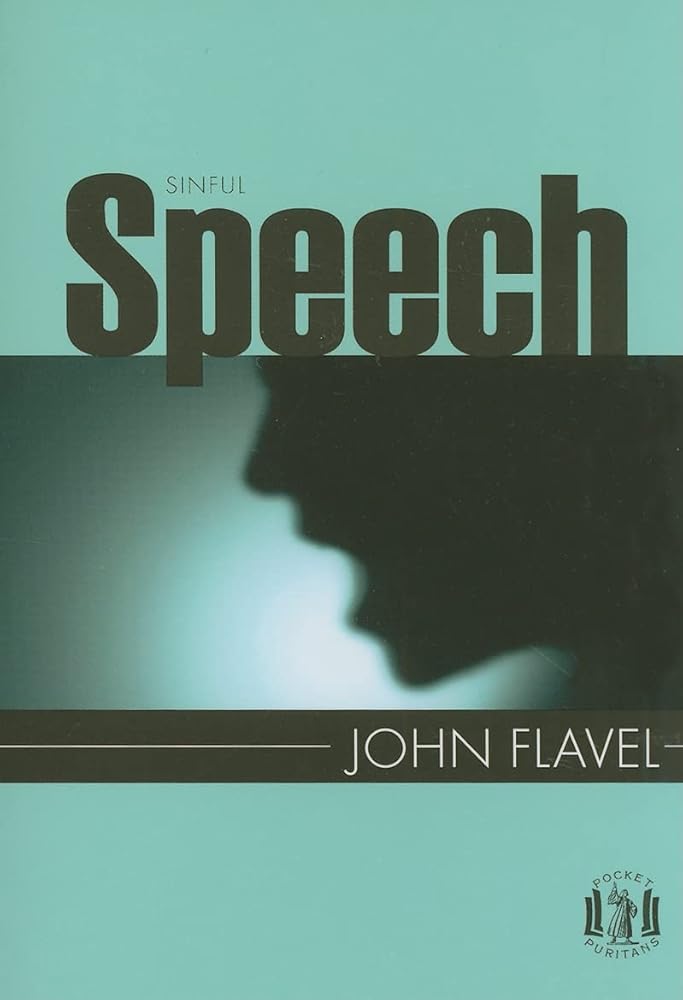 Sinful Speech (Pocket Puritans) cover image