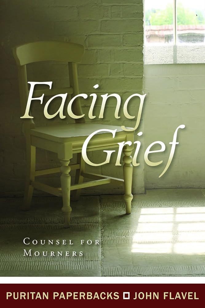 Facing Grief (Puritan Paperbacks) cover image