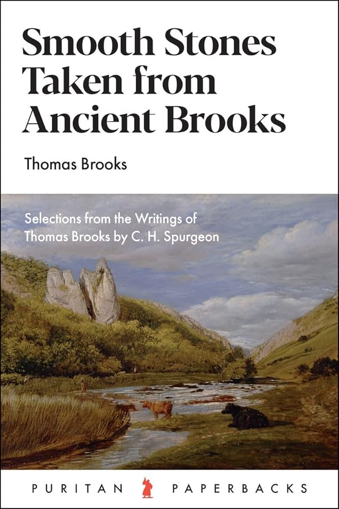 Smooth Stones Taken from Ancient Brooks: Being a Collection of Sentences, Illustrations, and Quaint Sayings from That Renowned Puritan, Thomas Brooks (Puritan Paperbacks) cover image