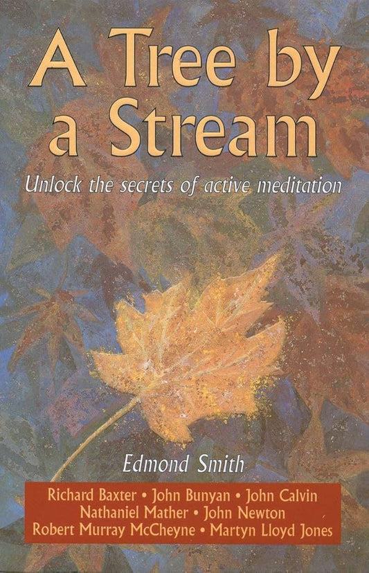 A Tree By a Stream: Unlock the secrets of active meditation cover image
