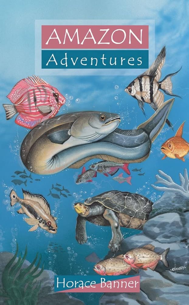 Amazon Adventures (Adventure Series) cover image