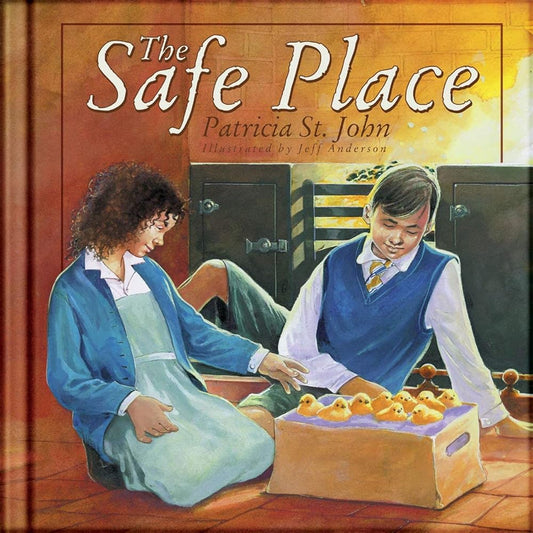 The Safe Place (Colour Books) cover image