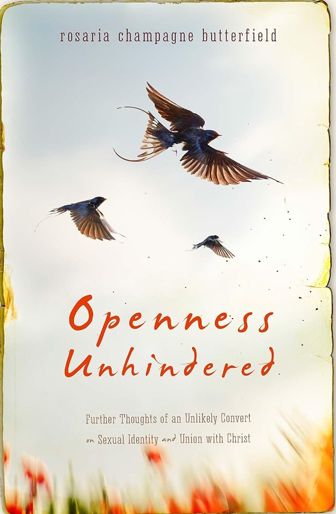 Openness Unhindered: Further Thoughts of an Unlikely Convert on Sexual Identity and Union with Christ cover image