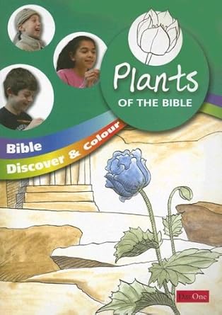 Bible discover and colour: Plants of the Bible cover image