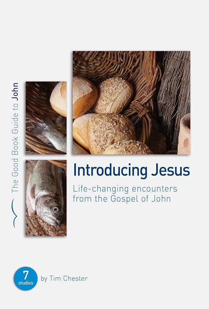 John: Introducing Jesus cover image