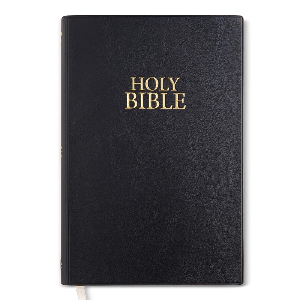 NIV STANDARD NAVY BLACK VINYL BIBLE cover image