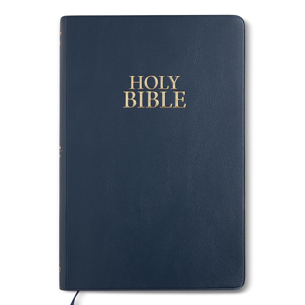 NIV NAVY BLUE VINYL BIBLE cover image