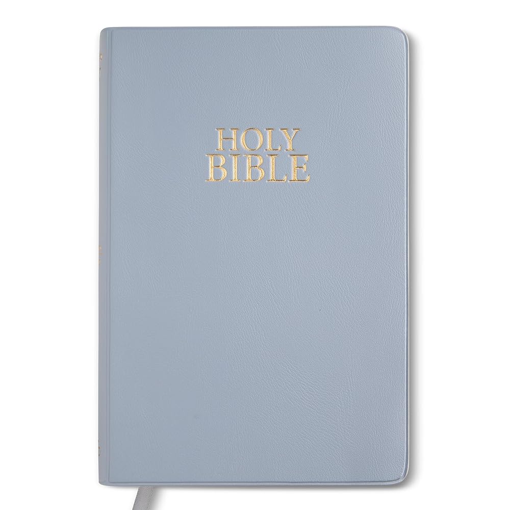 Compact NIV Steel Blue Vinyl cover image