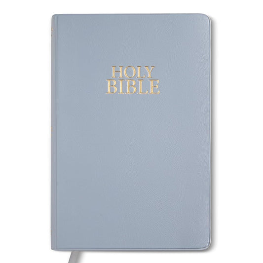 Compact NIV Steel Blue Vinyl cover image