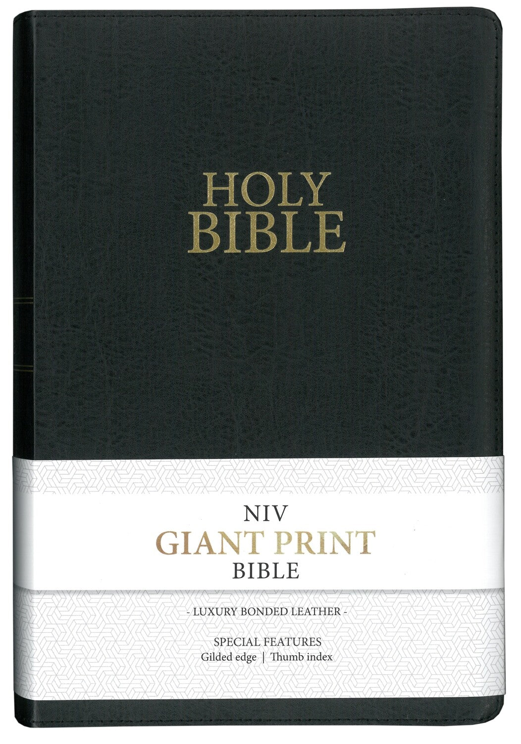 NIV GIANT PRINT VINYL STEEL BLUE BIBLE