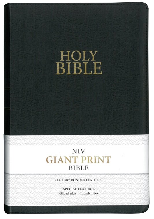 NIV GIANT PRINT VINYL STEEL BLUE BIBLE