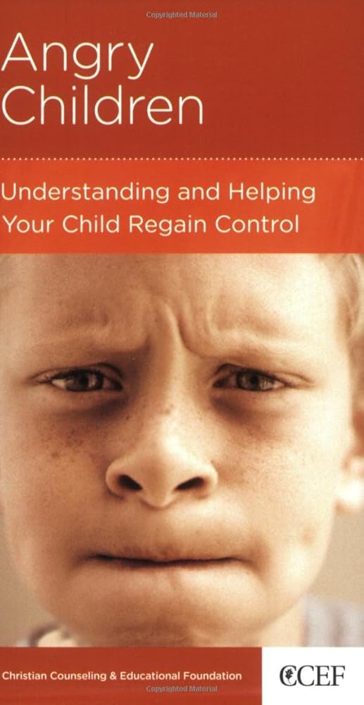 Angry Children: Understanding and Helping Your Child Regain Control cover image