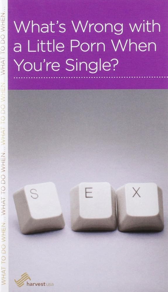 Whats Wrong with a Little Porn When Youre Single? cover image