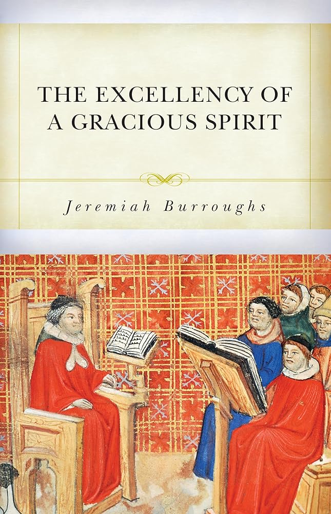 The Excellency of a Gracious Spirit cover image