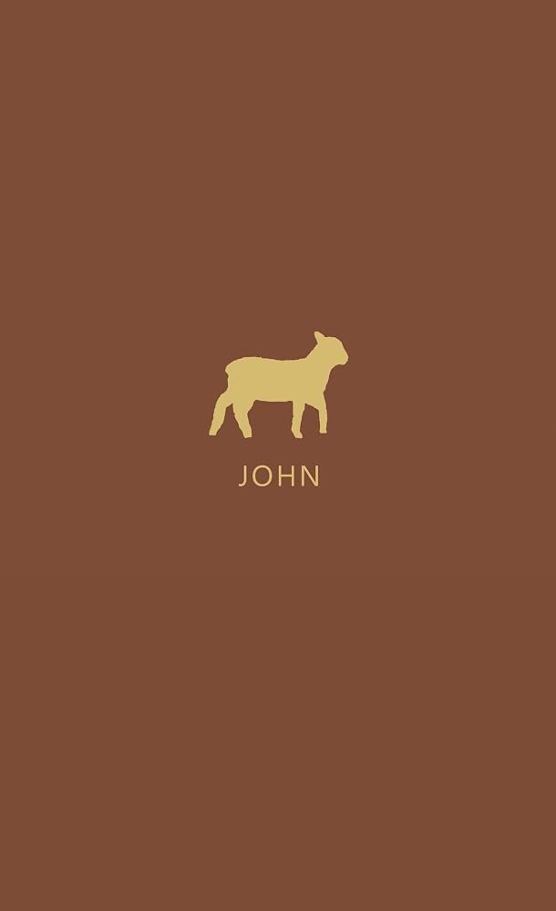 John Bible Study Journal | In the Word Bible Journal | Gospel of John Devotional Workbook with Chapter-by-Chapter Reflections | Scripture Writing Notebook for Daily Bible Study cover image