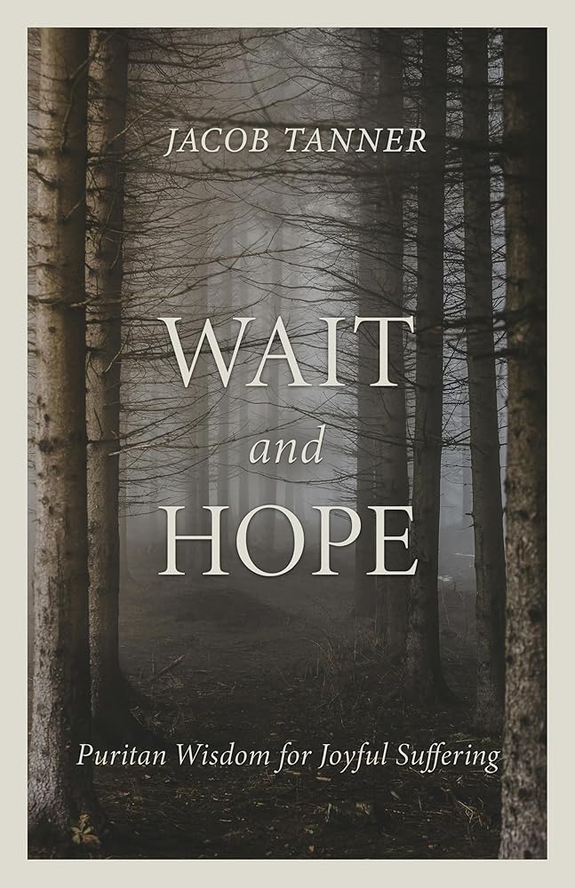 Wait and Hope: Puritan Wisdom for Joyful Suffering cover image