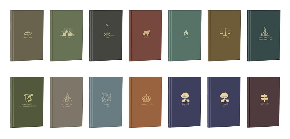 New Testament, Psalms, and Proverbs (In the Word Bible Journal) cover image