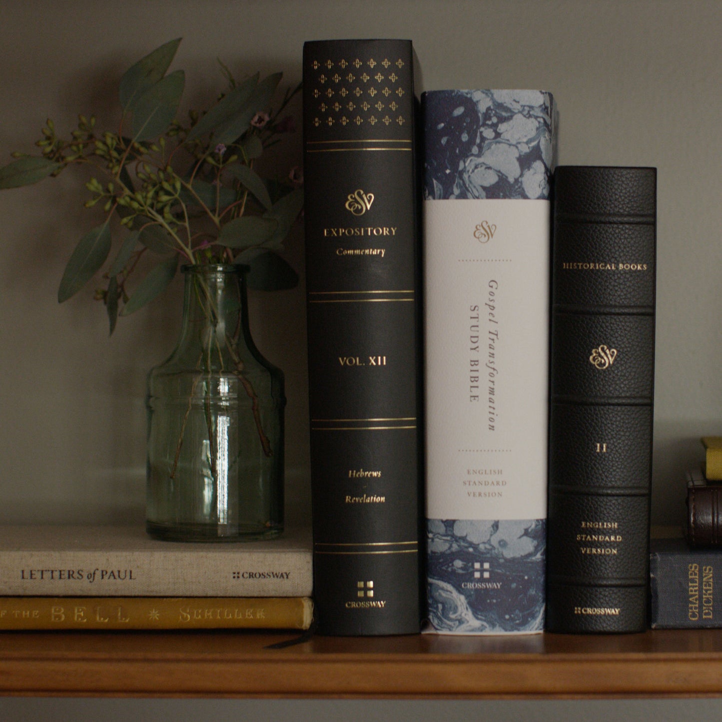 ESV Gospel Transformation Study Bible: Christ in All of Scripture, Grace for All of Life