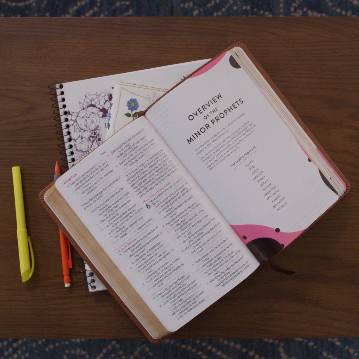 ESV Kid's Bible, Thinline (TruTone, The True Vine)