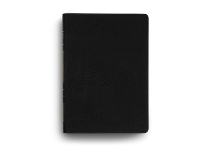 ESV Archaeology Study Bible (Black)