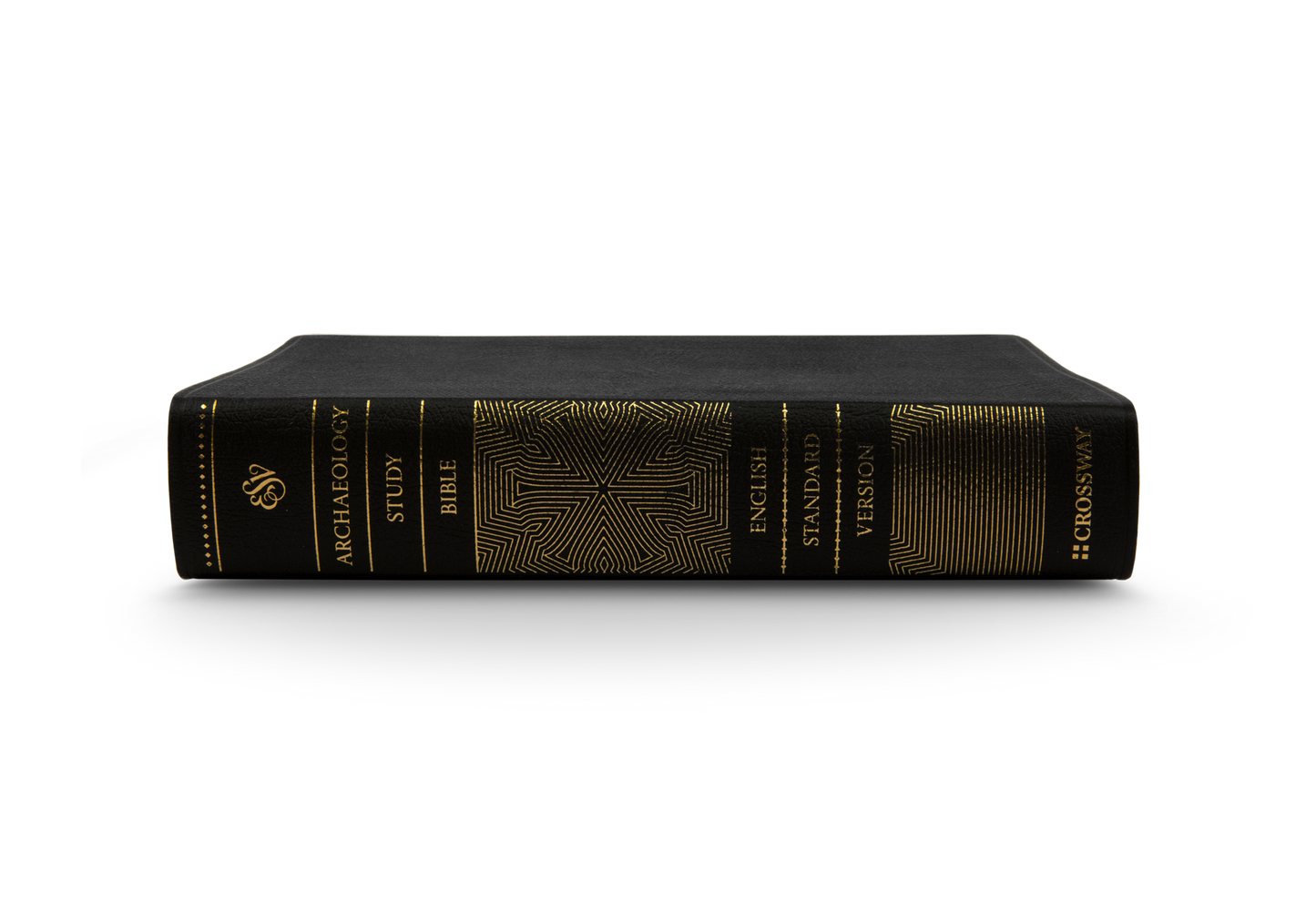 ESV Archaeology Study Bible (Black)