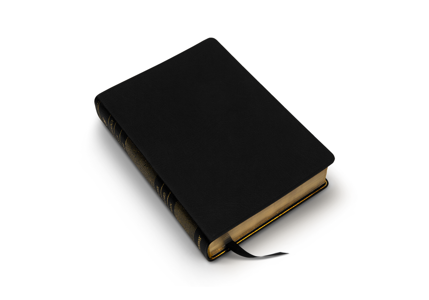 ESV Archaeology Study Bible (Black)