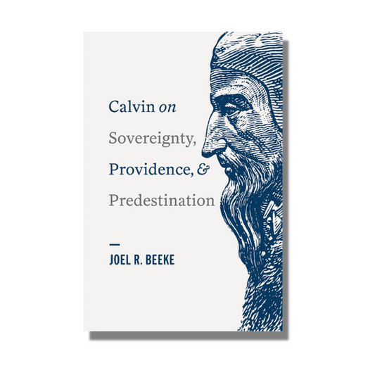 Calvin on Sovereignty, Providence, and Predestination (Slight Damage)