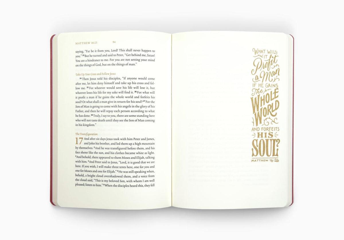 ESV Illuminated Scripture Journal: Matthew