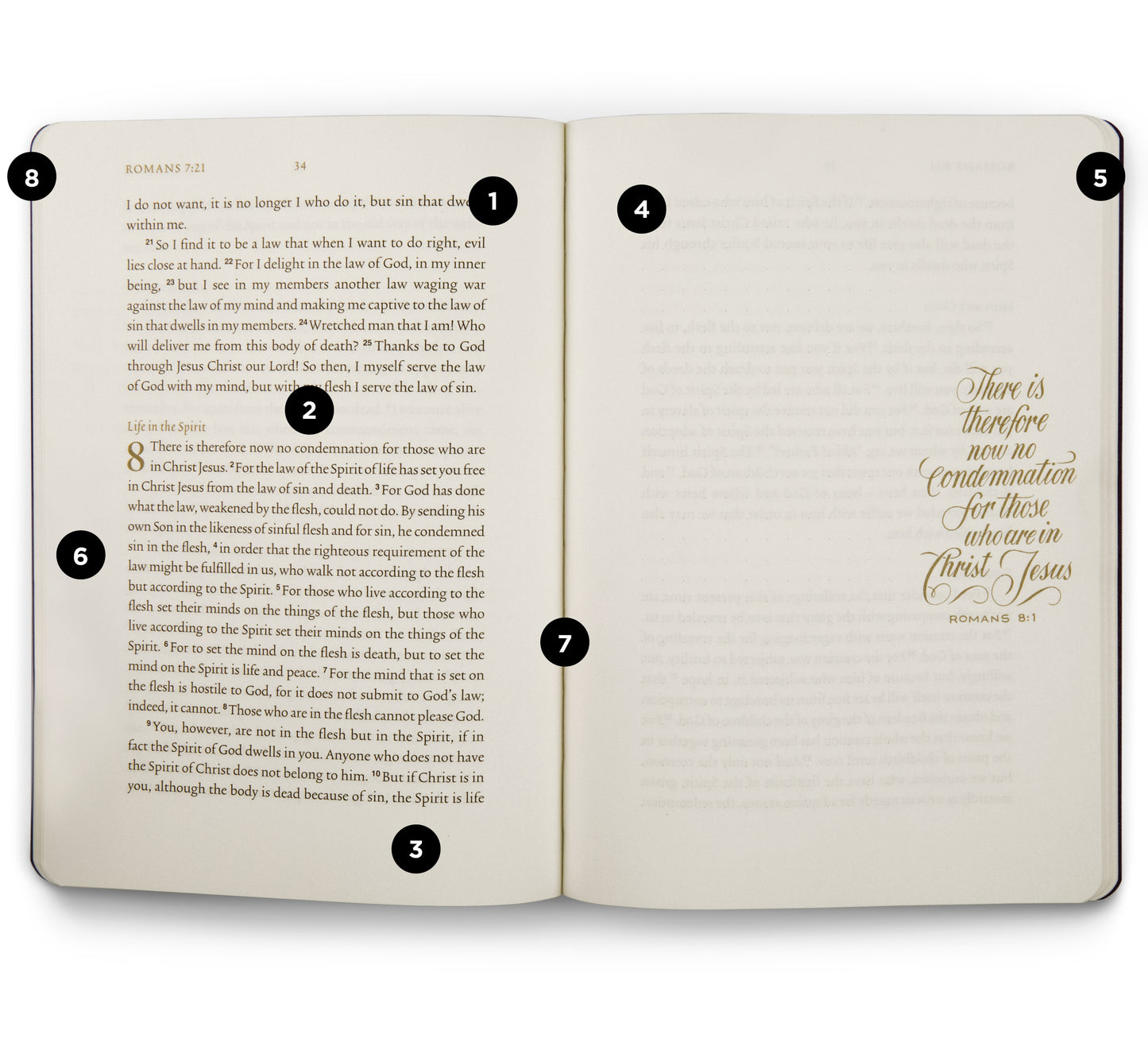 ESV Illuminated Scripture Journal: Mark