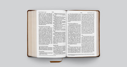 ESV Giant Print Bible (TruTone, Deep Brown)