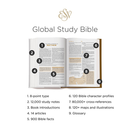 ESV Global Study Bible (Old Stock, Cover Slightly Faded)