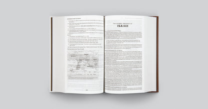 ESV Global Study Bible (Old Stock, Cover Slightly Faded)