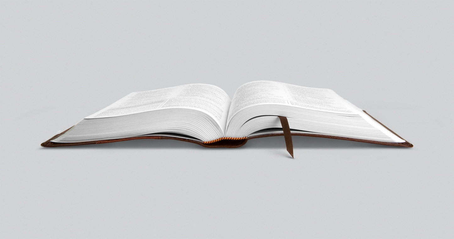 ESV Student Study Bible (TruTone, Brown/Cordovan, Portfolio Design)