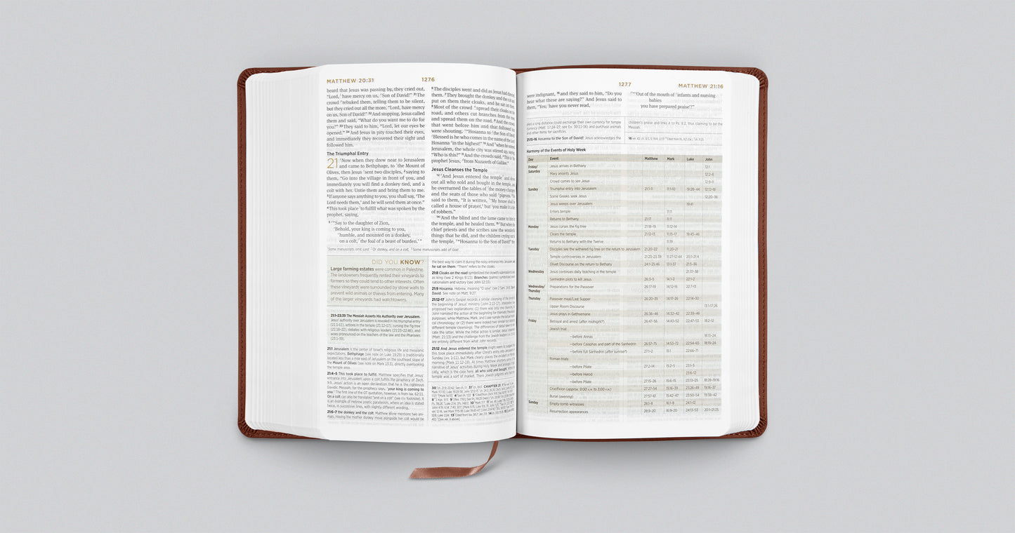 ESV Student Study Bible (TruTone, Chestnut)