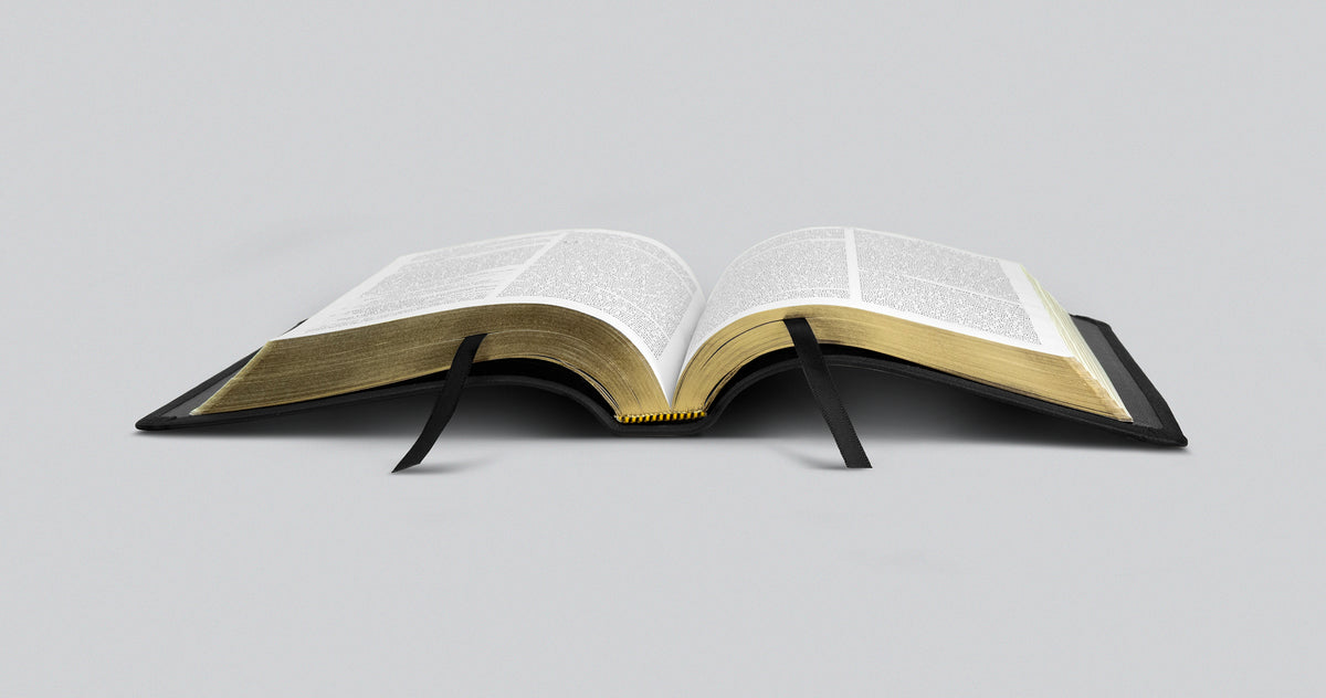 ESV Thinline Bible (Black)