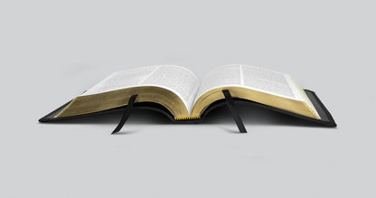 ESV Thinline Bible (Black)