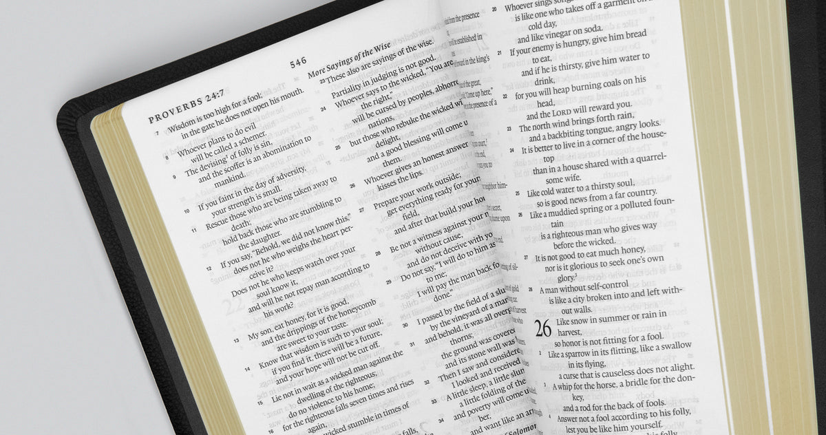 ESV Thinline Bible (Black)