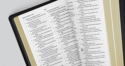 ESV Thinline Bible (Black)