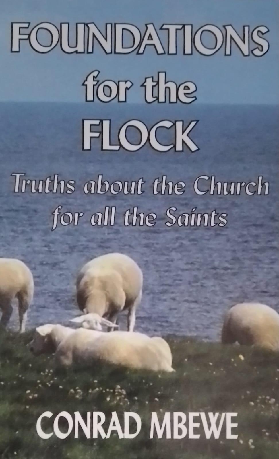 Foundations for the Flock