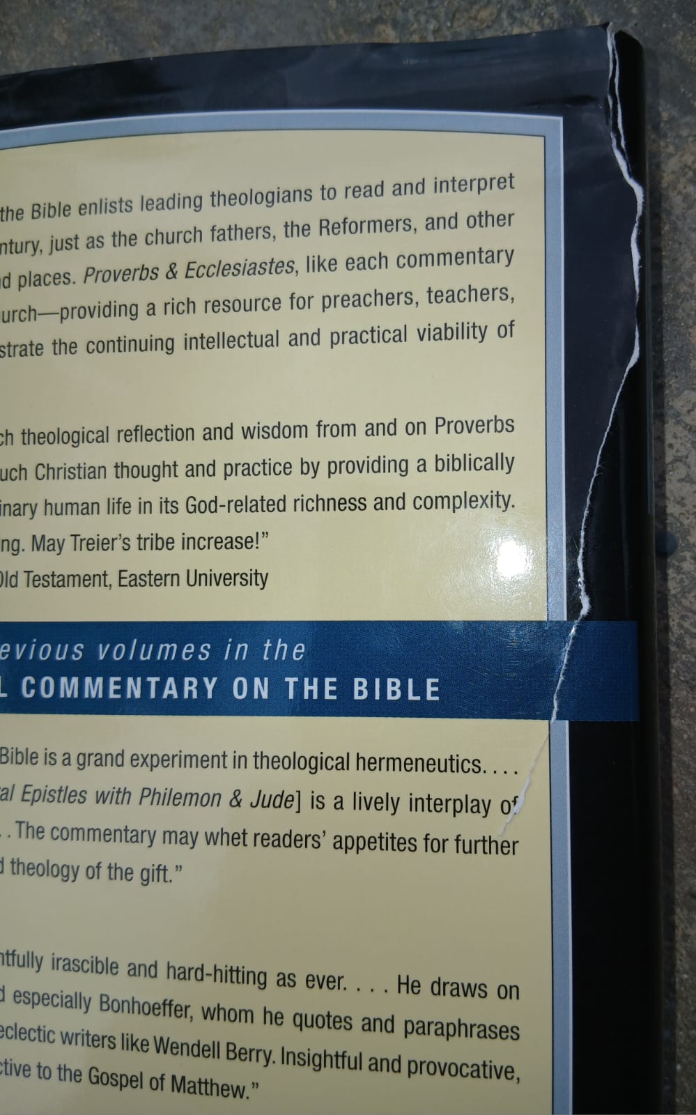 Proverbs & Ecclesiastes (Brazos Theological Commentary on the Bible) (Torn Dust Jacket)